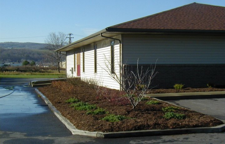 Landscaping Job